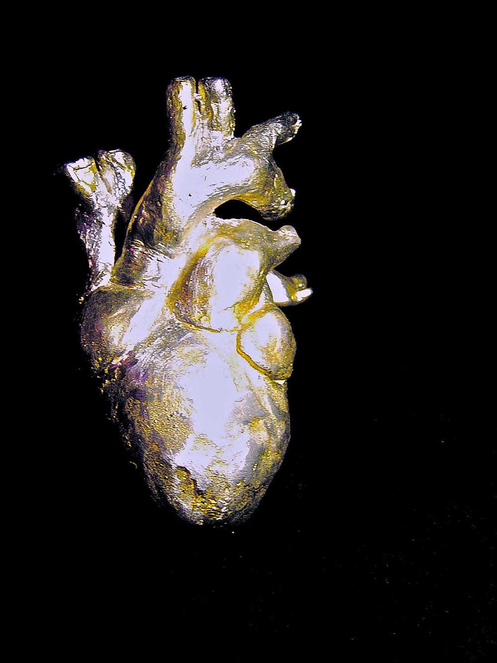“Heart”, pewter, life size