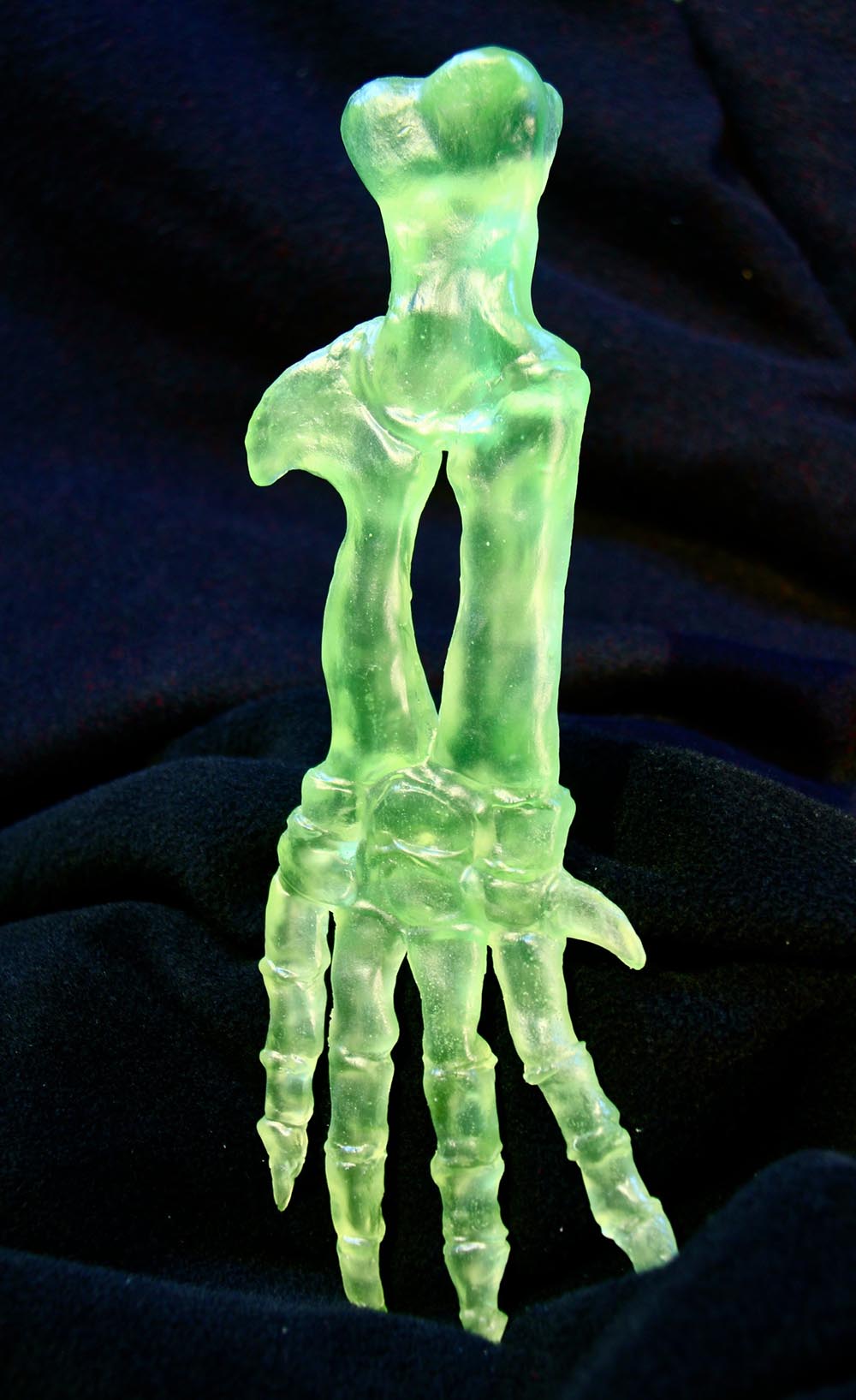 “Whale Pectoral Flipper Bones, (green)”, cast lead crystal, 12 1/2" x 4" x 1 1/2"